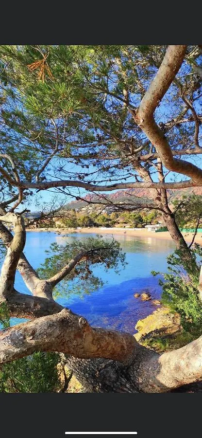 Vue Mer Et Sur La Baie De Cannes Piscine 450M2 Randonnee Vtt Au Pied De L Esterel Apartment Theoule-sur-Mer